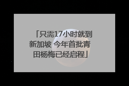 只需17小时就到新加坡 今年首批青田杨梅已经启程