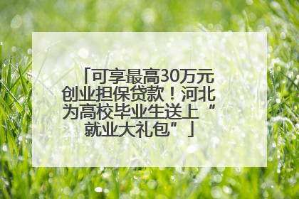 可享最高30万元创业担保贷款！河北为高校毕业生送上“就业大礼包”