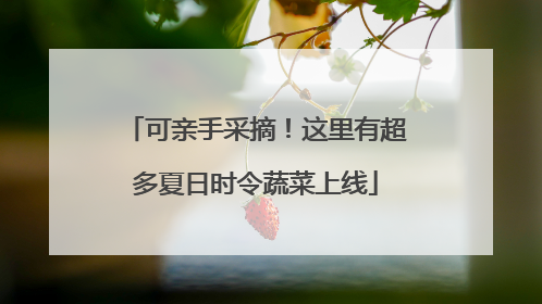 可亲手采摘！这里有超多夏日时令蔬菜上线