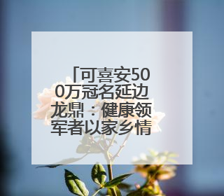 可喜安500万冠名延边龙鼎：健康领军者以家乡情怀点燃绿茵梦想