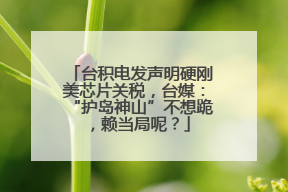 台积电发声明硬刚美芯片关税，台媒：“护岛神山”不想跪，赖当局呢？