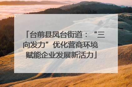 台前县凤台街道：“三向发力”优化营商环境 赋能企业发展新活力