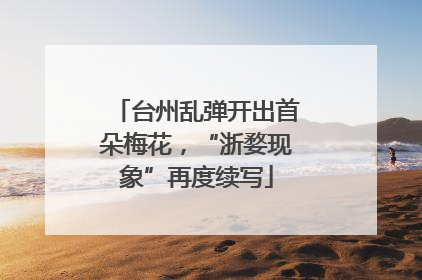 台州乱弹开出首朵梅花，“浙婺现象”再度续写