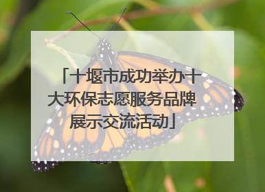 十堰市成功举办十大环保志愿服务品牌展示交流活动