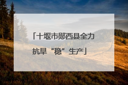 十堰市郧西县全力抗旱“稳”生产