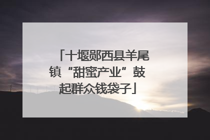 十堰郧西县羊尾镇“甜蜜产业”鼓起群众钱袋子