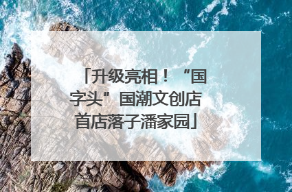 升级亮相！“国字头”国潮文创店首店落子潘家园