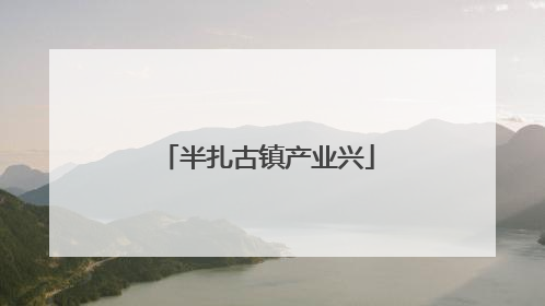 半扎古镇产业兴