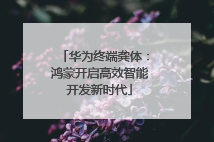 华为终端龚体：鸿蒙开启高效智能开发新时代