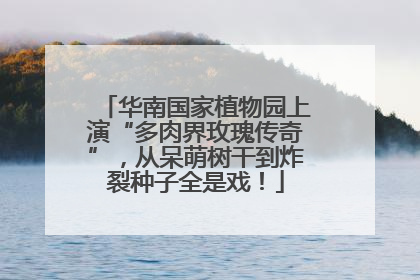 华南国家植物园上演“多肉界玫瑰传奇”，从呆萌树干到炸裂种子全是戏！