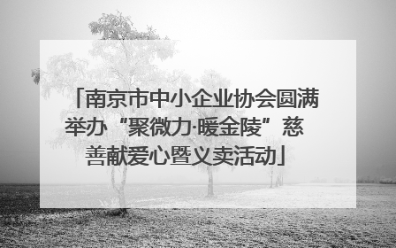 南京市中小企业协会圆满举办“聚微力·暖金陵”慈善献爱心暨义卖活动