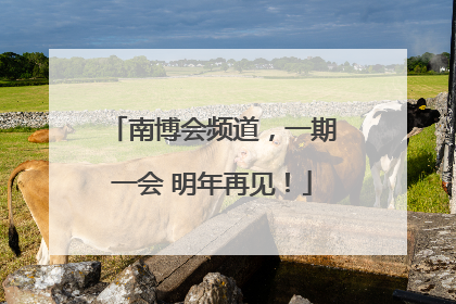 南博会频道，一期一会 明年再见！