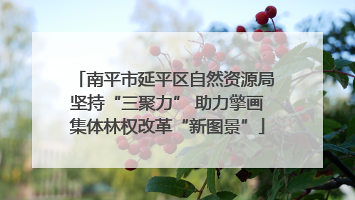 南平市延平区自然资源局坚持“三聚力” 助力擎画集体林权改革“新图景”