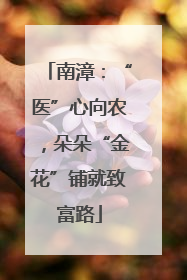 南漳：“医”心向农，朵朵“金花”铺就致富路