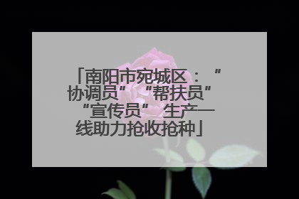 南阳市宛城区：“协调员”“帮扶员”“宣传员” 生产一线助力抢收抢种