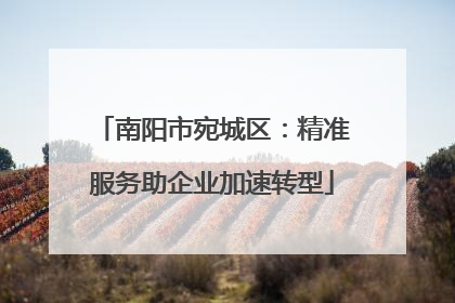 南阳市宛城区：精准服务助企业加速转型