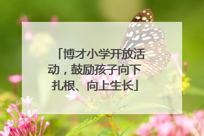 博才小学开放活动，鼓励孩子向下扎根、向上生长