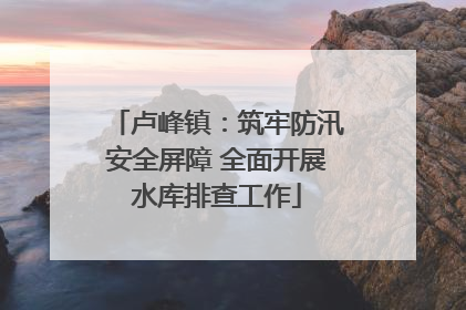 卢峰镇：筑牢防汛安全屏障 全面开展水库排查工作