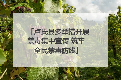 卢氏县多举措开展禁毒集中宣传 筑牢全民禁毒防线
