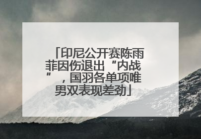 印尼公开赛陈雨菲因伤退出“内战”，国羽各单项唯男双表现差劲