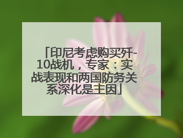 印尼考虑购买歼-10战机，专家：实战表现和两国防务关系深化是主因