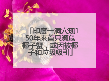 印度一洞穴现150年来首只濒危椰子蟹，或因被椰子和垃圾吸引