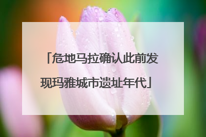 危地马拉确认此前发现玛雅城市遗址年代
