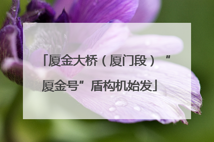 厦金大桥（厦门段）“厦金号”盾构机始发