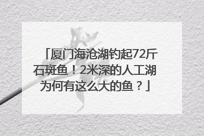 厦门海沧湖钓起72斤石斑鱼！2米深的人工湖为何有这么大的鱼？