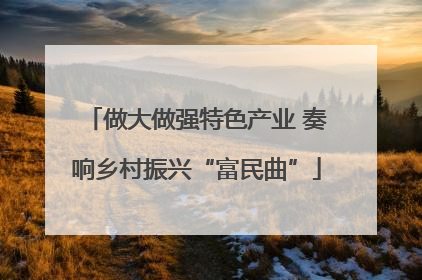 做大做强特色产业 奏响乡村振兴“富民曲”