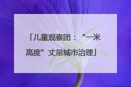 儿童观察团：“一米高度”丈量城市治理