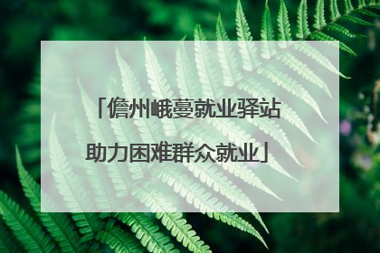 儋州峨蔓就业驿站助力困难群众就业
