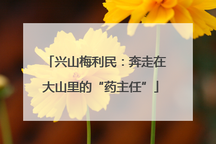 兴山梅利民：奔走在大山里的“药主任”