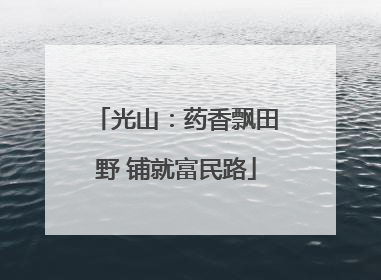 光山：药香飘田野 铺就富民路
