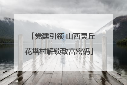 党建引领 山西灵丘花塔村解锁致富密码