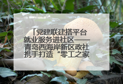 党建联建搭平台 就业服务进社区——青岛西海岸新区政社携手打造“零工之家”就业服务新阵地