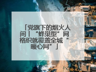 党旗下的烟火人间丨“蜂巢型”网格织就覆盖全城“暖心网”