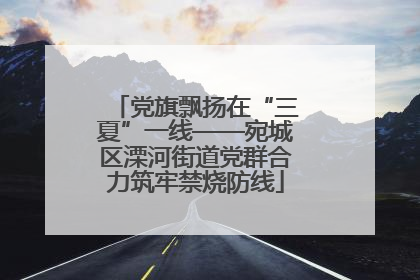 党旗飘扬在“三夏”一线——宛城区溧河街道党群合力筑牢禁烧防线