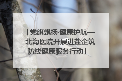 党旗飘扬·健康护航——北海医院开展进盐企筑防线健康服务行动