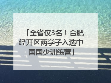 全省仅3名！合肥经开区两学子入选中国国少训练营