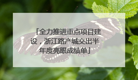 全力推进重点项目建设，浙江路产城交出半年度亮眼成绩单