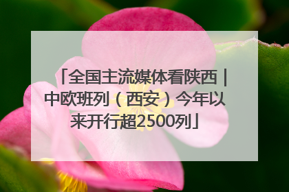 全国主流媒体看陕西｜中欧班列（西安）今年以来开行超2500列
