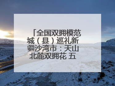 全国双拥模范城（县）巡礼新疆沙湾市：天山北麓双拥花 五届蝉联铸辉煌