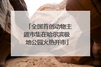 全国首创动物主题市集在哈尔滨极地公园火热开市