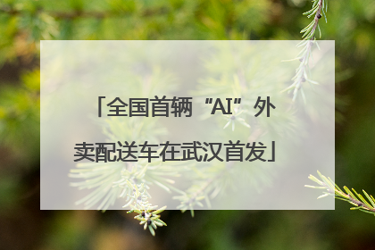 全国首辆“AI”外卖配送车在武汉首发