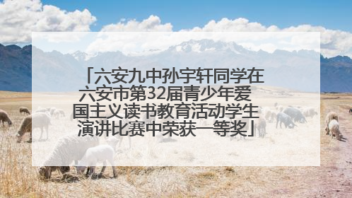 六安九中孙宇轩同学在六安市第32届青少年爱国主义读书教育活动学生演讲比赛中荣获一等奖