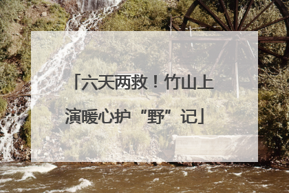 六天两救！竹山上演暖心护“野”记