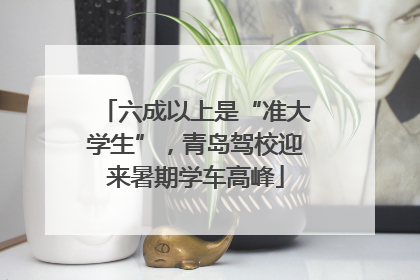 六成以上是“准大学生”，青岛驾校迎来暑期学车高峰