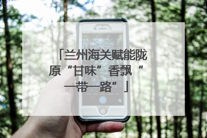 兰州海关赋能陇原“甘味”香飘“一带一路”