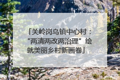关岭岗乌镇中心村：“两清两改两治理”绘就美丽乡村新画卷